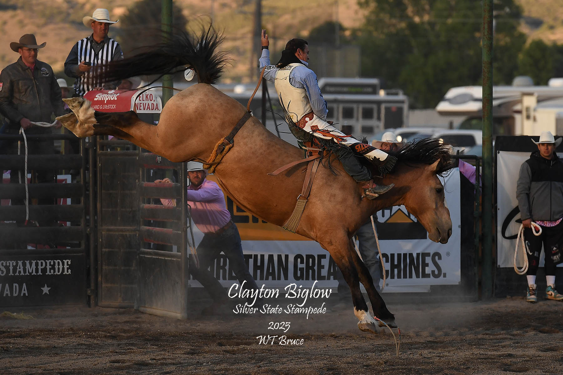 WT Bruce Photography