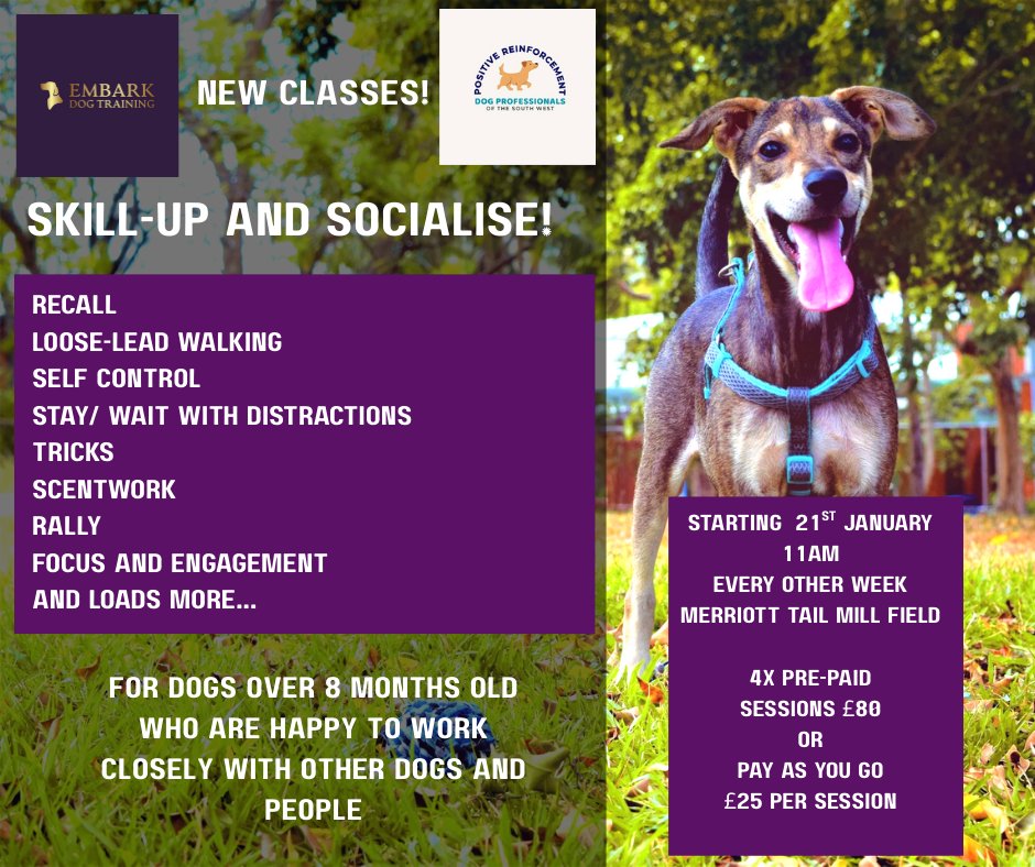 Embark Dog Training added a new photo. - Embark Dog Training