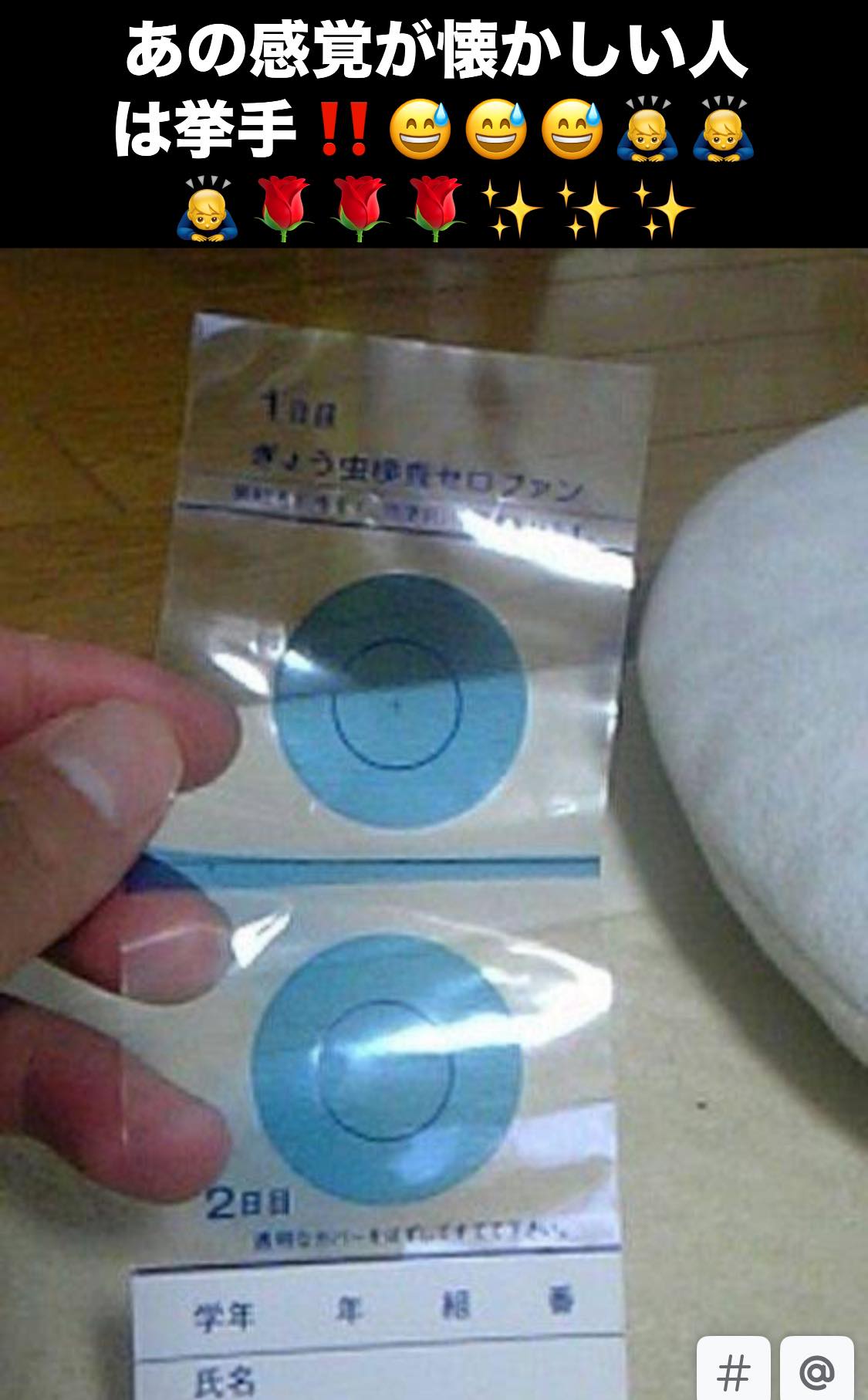蟯虫 検査