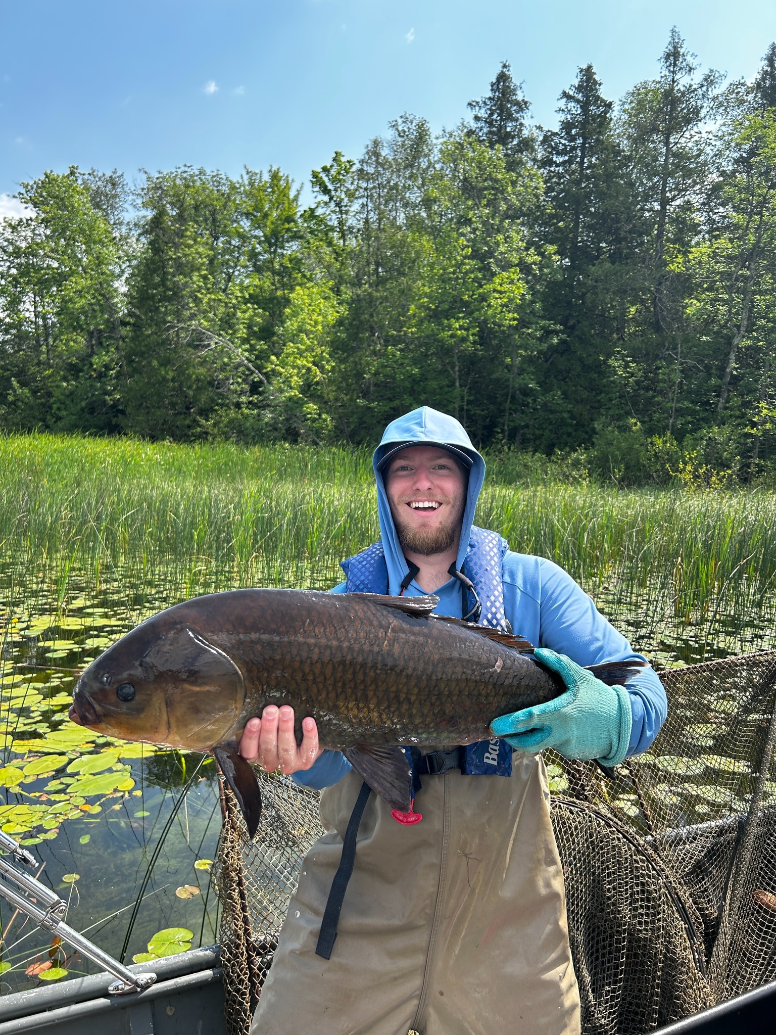 Minnesota Fish & Wildlife