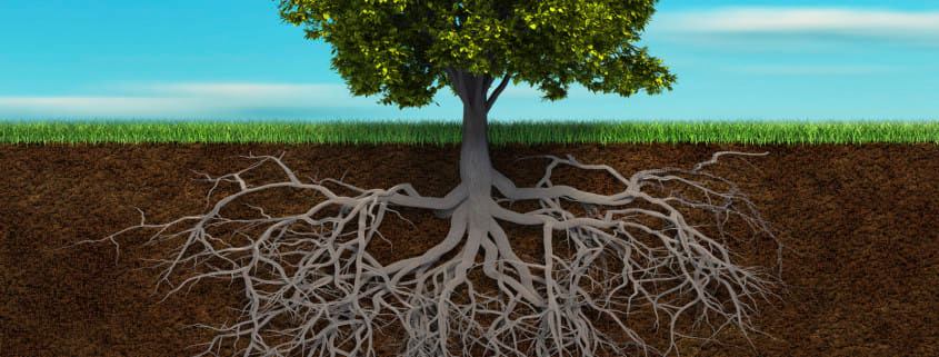 Mayina - ~ QUELS TYPE DE CONSEIL PRODIGUE LE NATUROPATHE ...