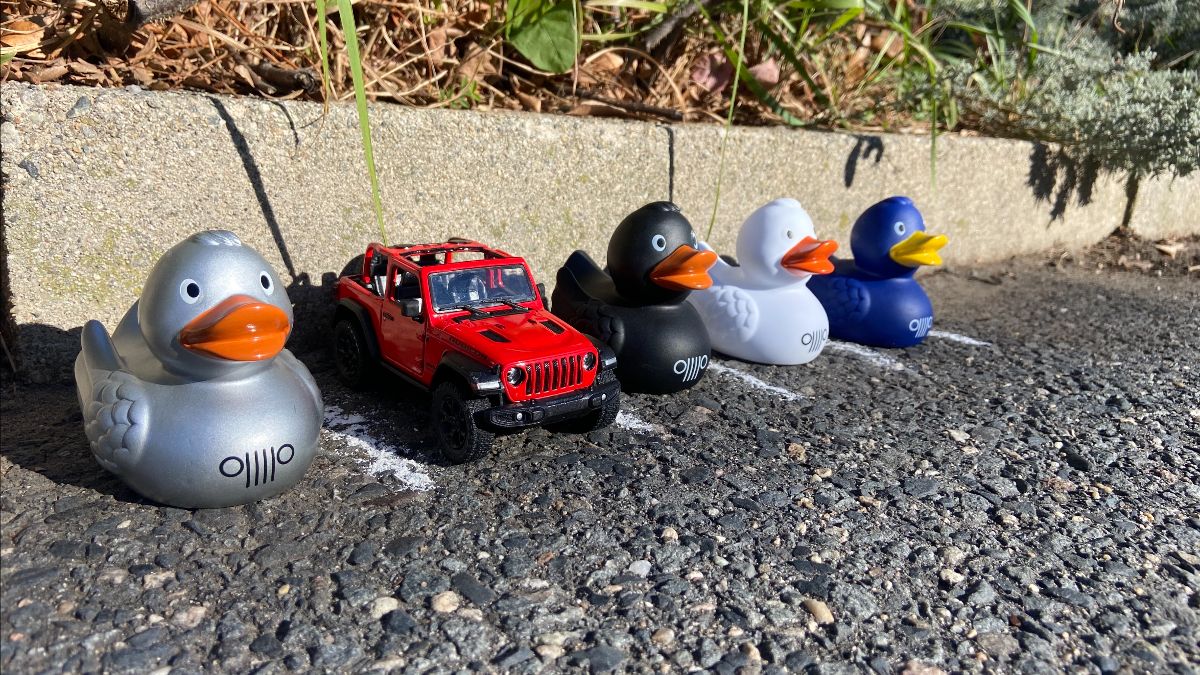 Ducks In The Window - It's the weekend and summer is almost here. We're ...