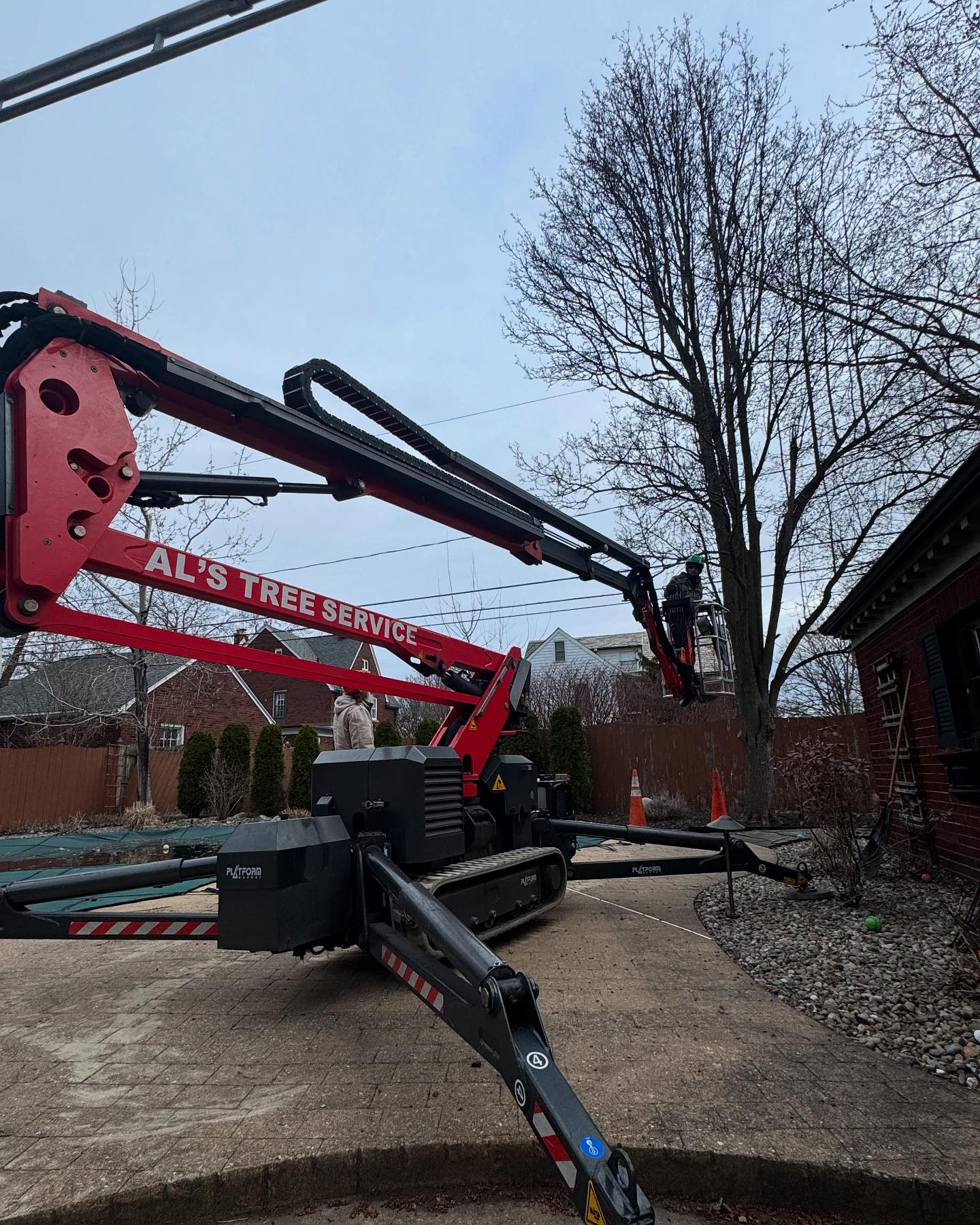 Al's Tree Service | Tonawanda NY