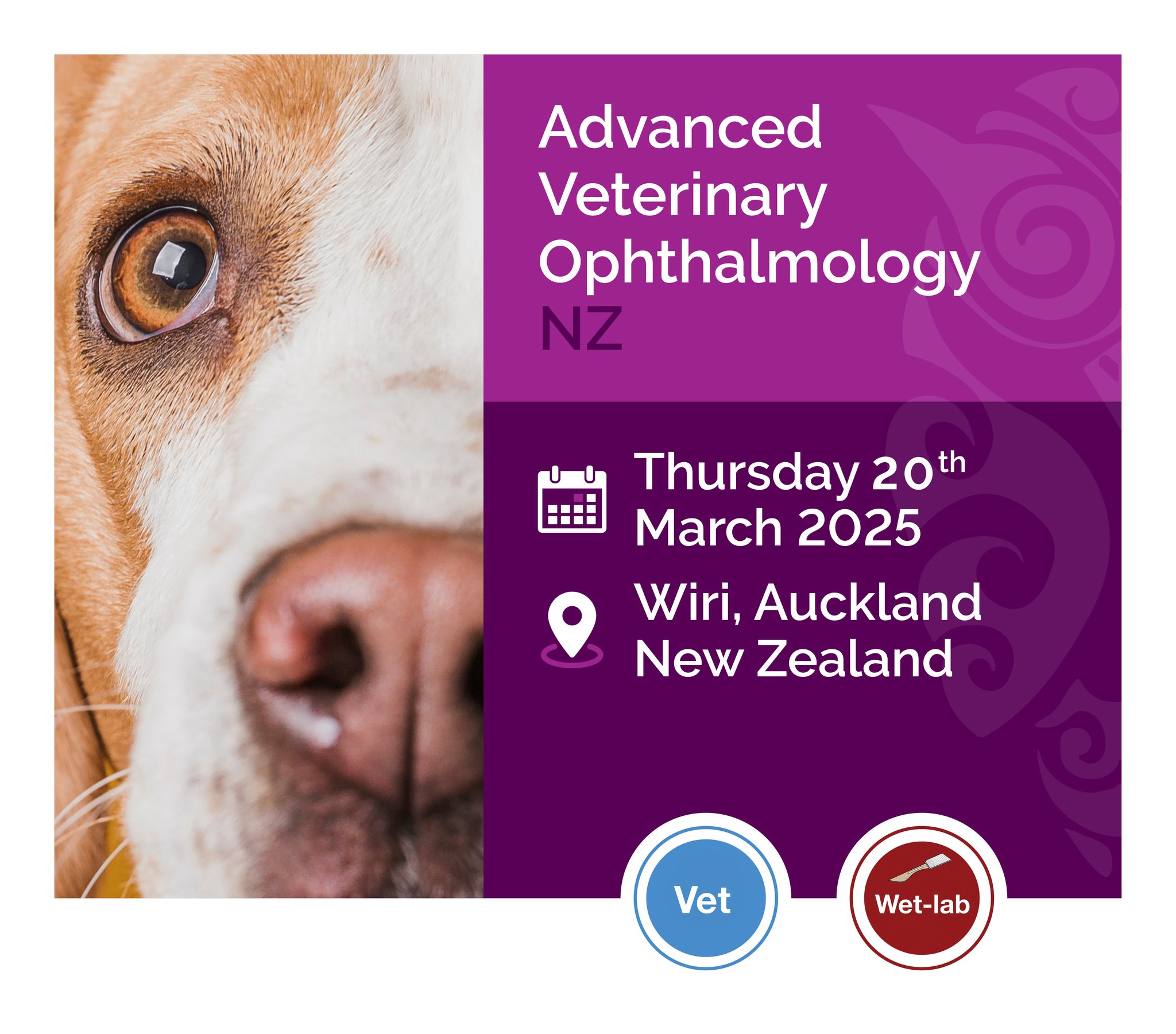 Pet Eye Care - New Zealand | Hamilton