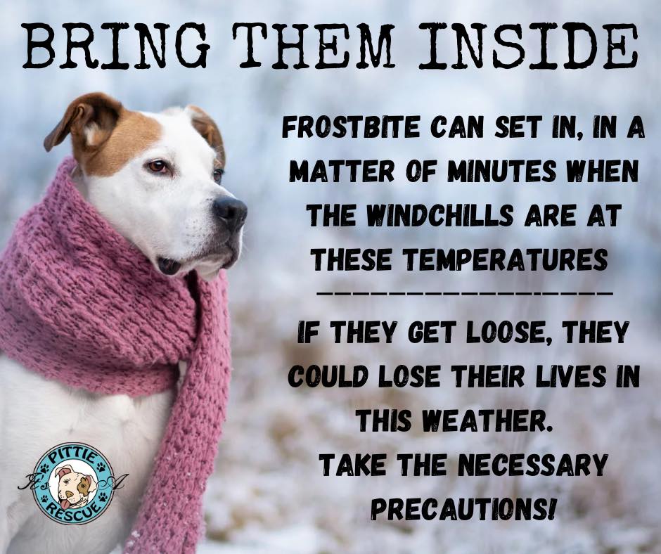 Can Dogs Get Frostbite In 42 Degree Weather Reference: Friends Of Oak Friends Of Oak Forest Animal Control