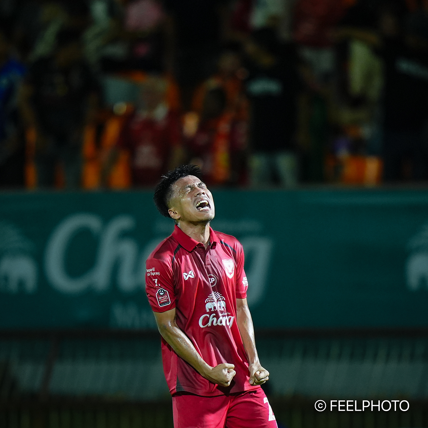 FEELPHOTO - 