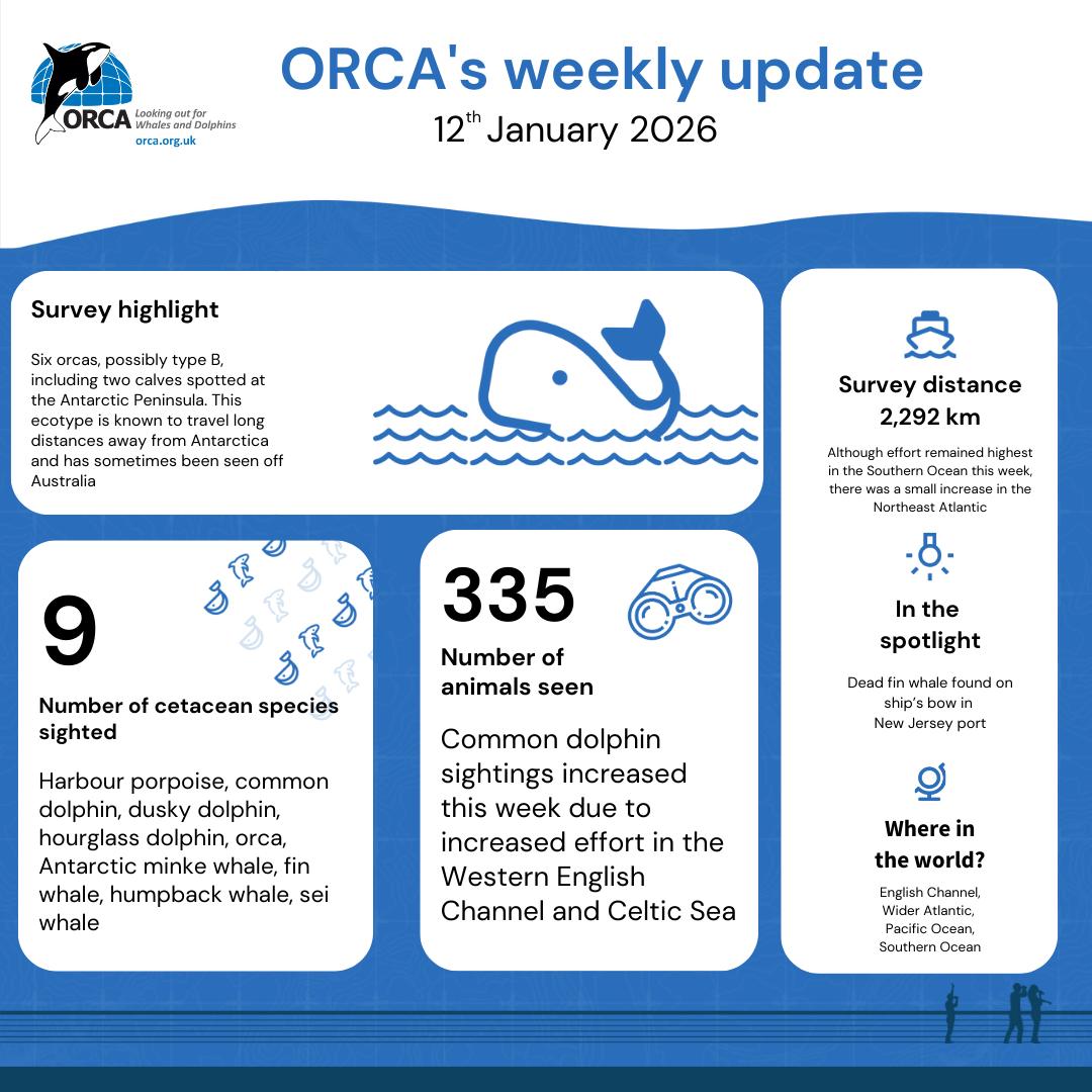 ORCA - Here is our weekly snapshot summary of where ORCA has been and ...