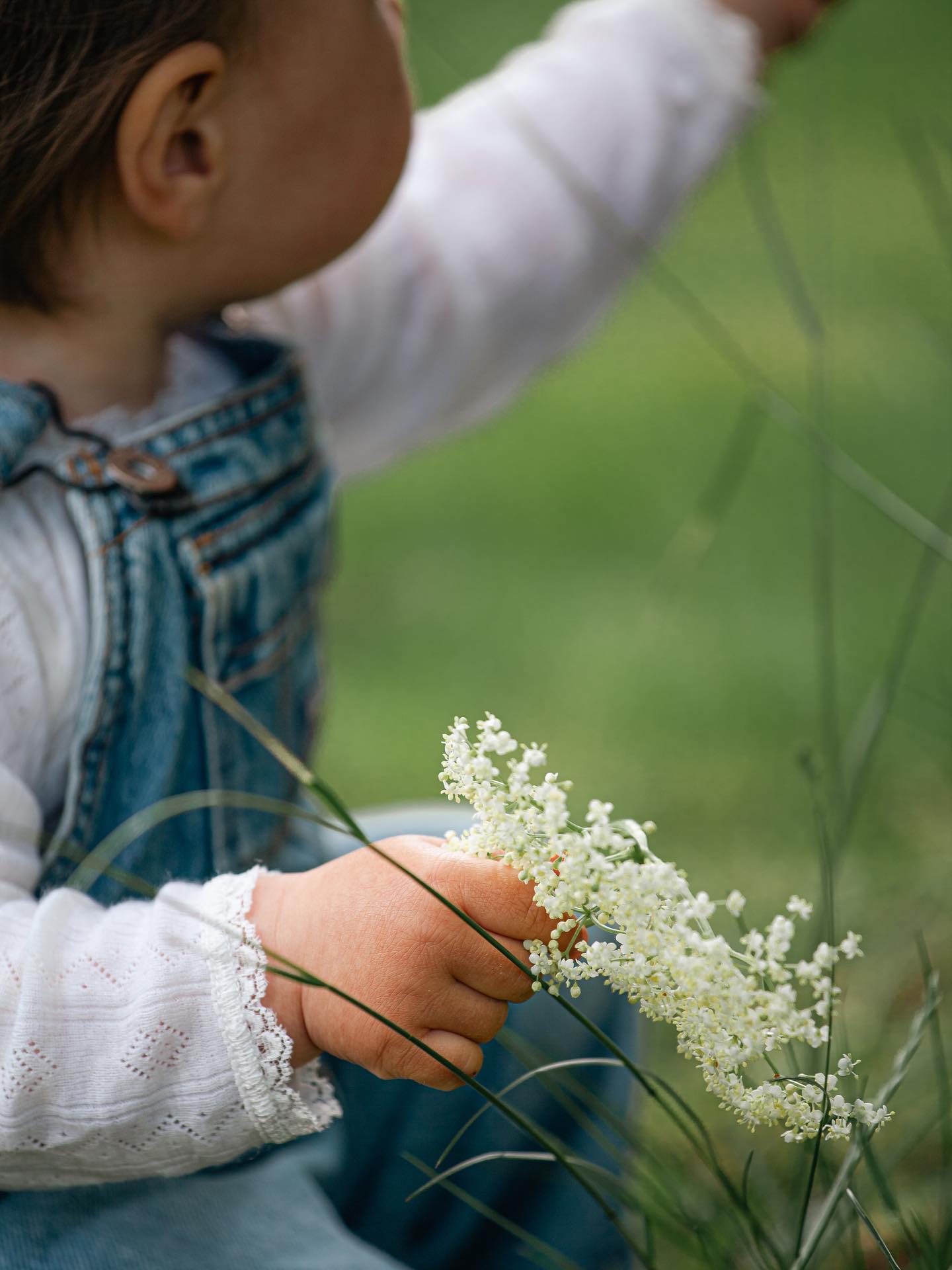 Mie Ritter Photography
