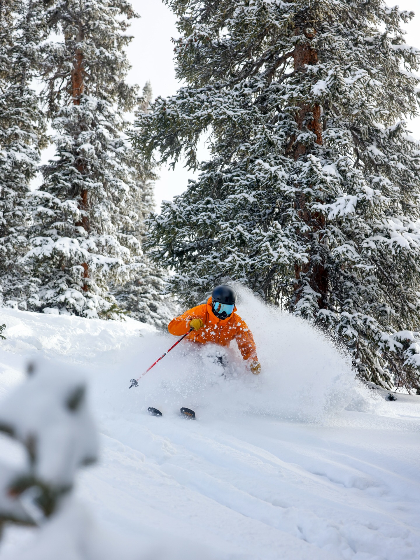 🚨 TERRAIN UPDATE 🚨 2026... - Crested Butte Mountain Resort | Facebook