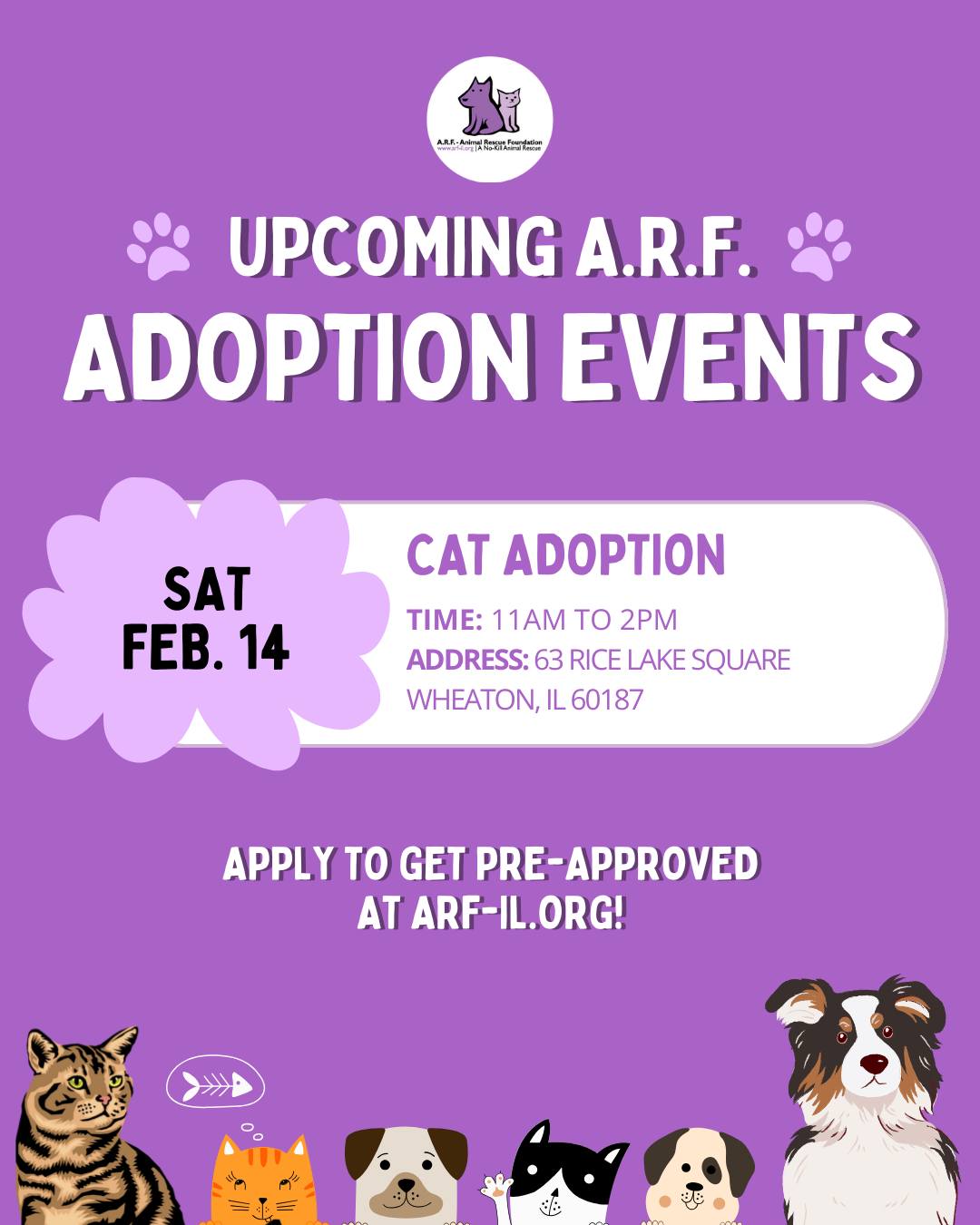 Come meet your purr-fect... - ARF - Animal Rescue Foundation | Facebook