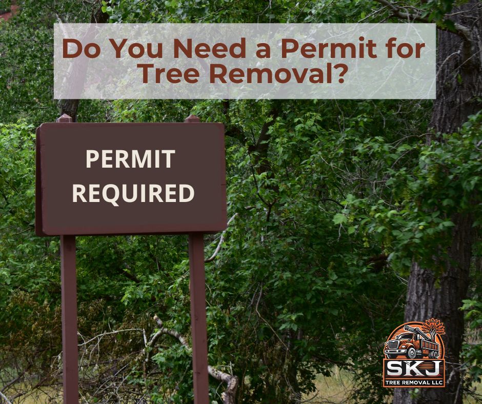 SKJ - Do You Need a Permit Before Removing a Tree? Before you grab the ...