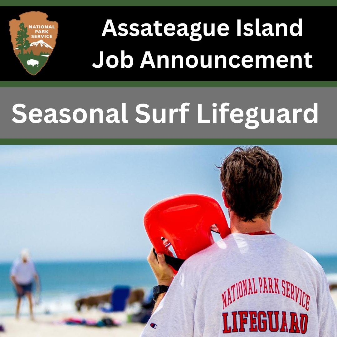 Are you looking for a summer job with sun, sand, and salt air