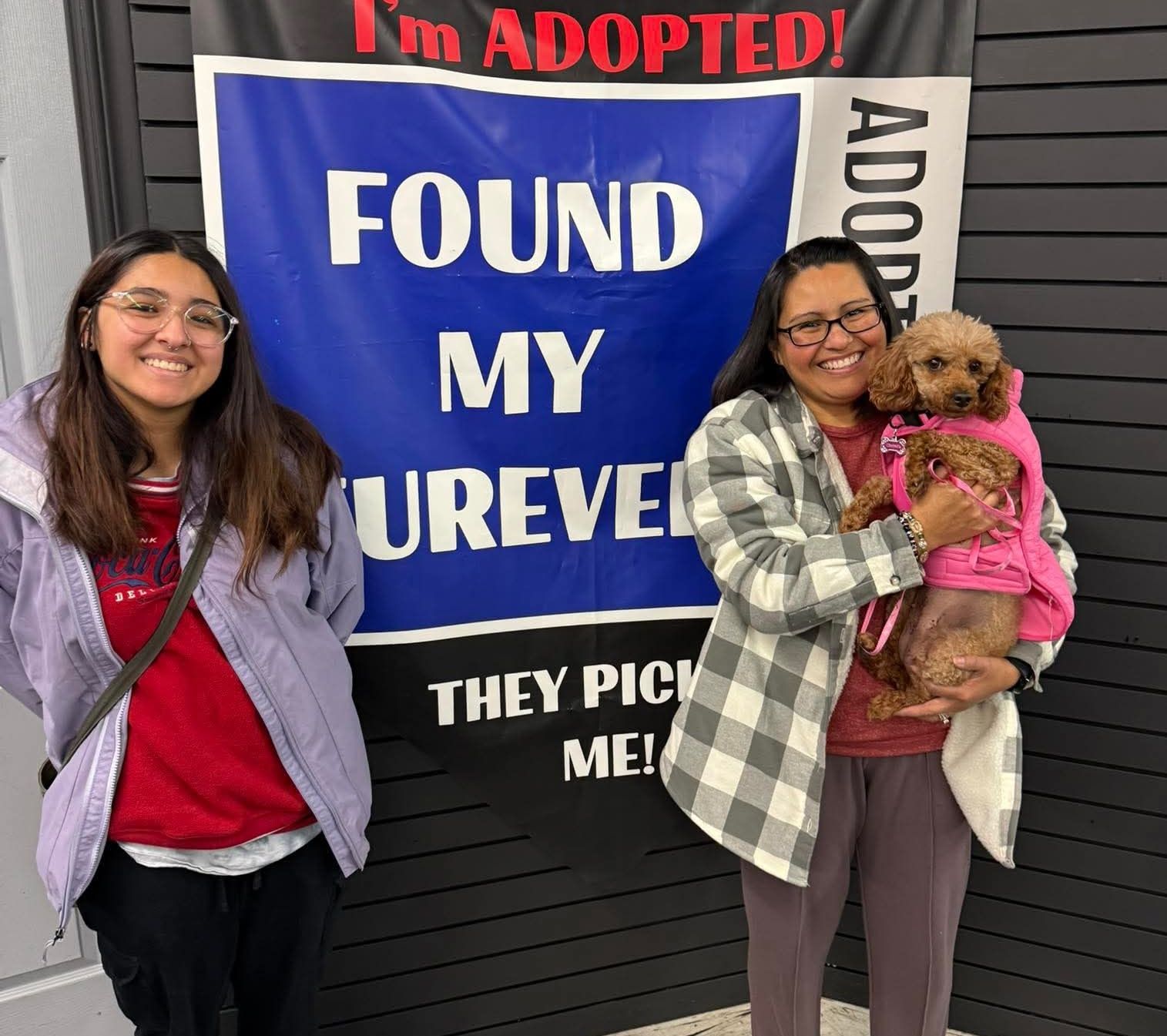 Wags - Help us in congratulating Chanel on her forever home! They plan ...