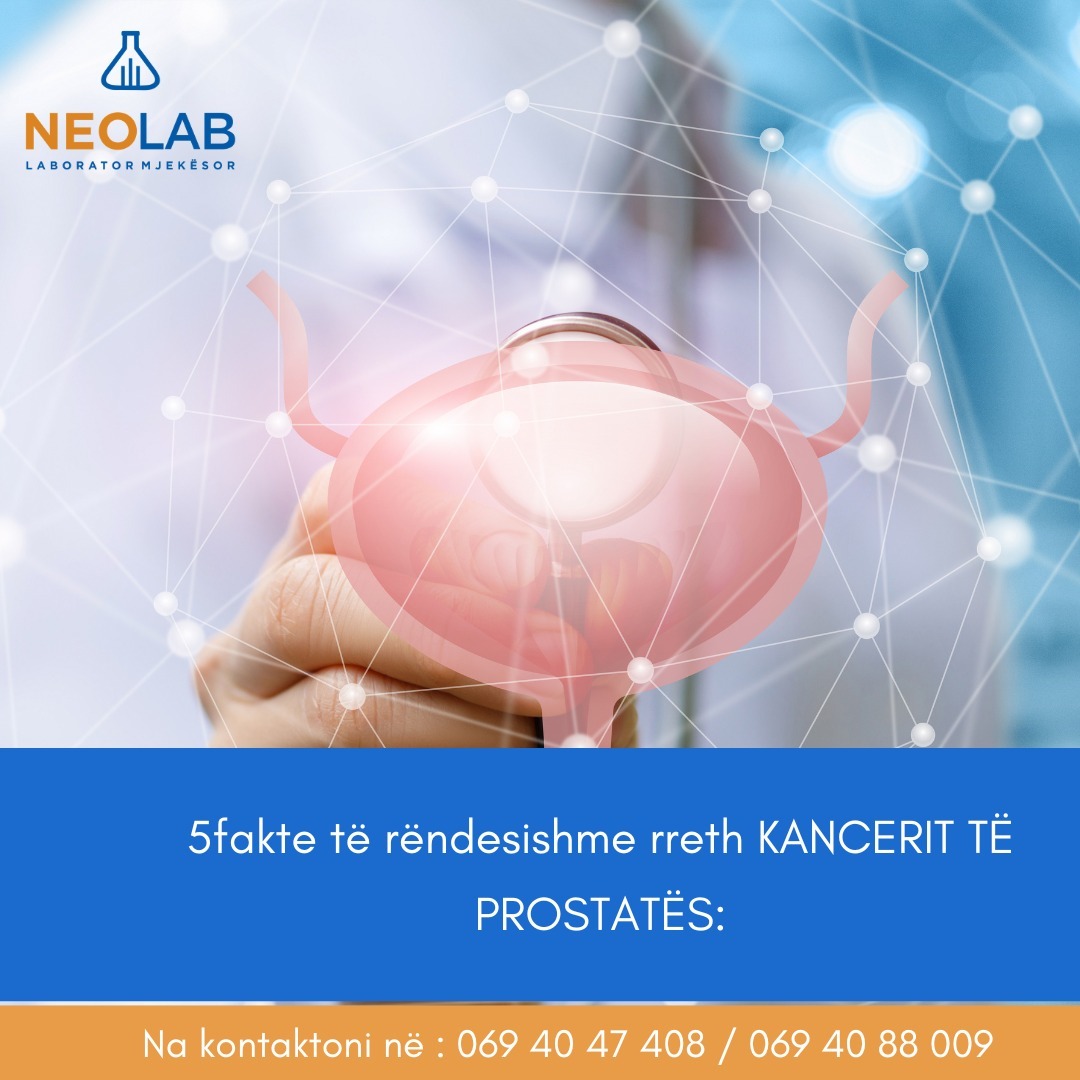 Neo Lab | Tirana