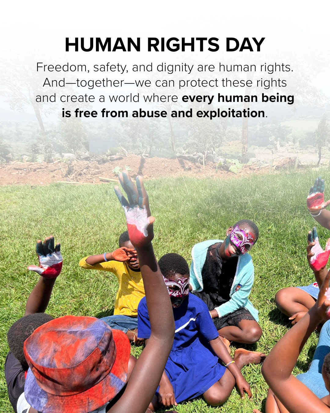 EverFree - Freedom is a human right. Safety is a human right. Healing ...