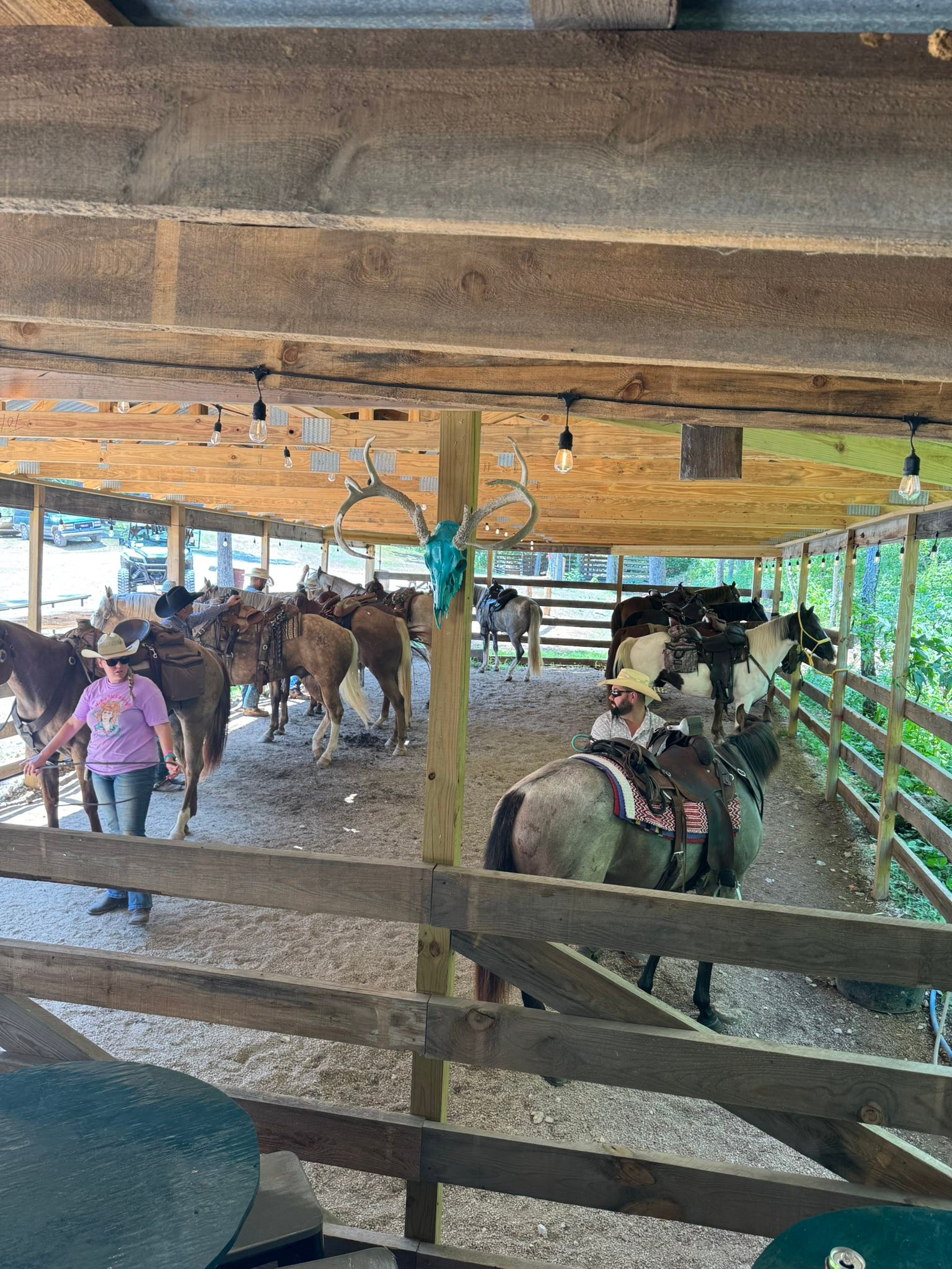 Old Desperado Ranch added a new photo. - Old Desperado Ranch