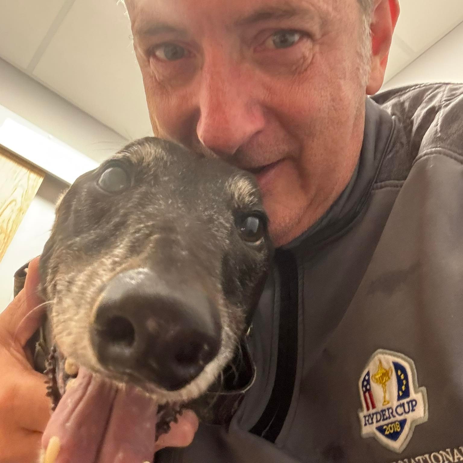 🦡 UPDATE: Badger Rescue Today 🦡 | Facebook