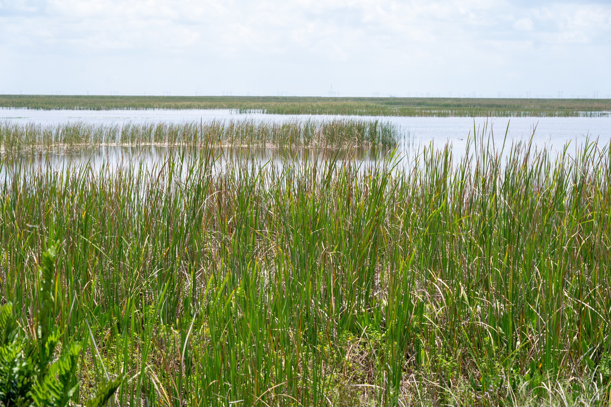 South - Weekly water levels update for key South Florida water bodies ...