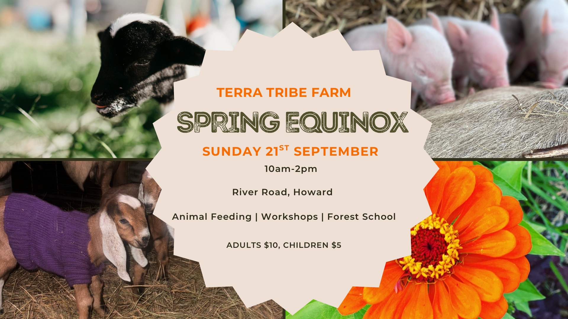 Spring Equinox At Terra Tribe Farm