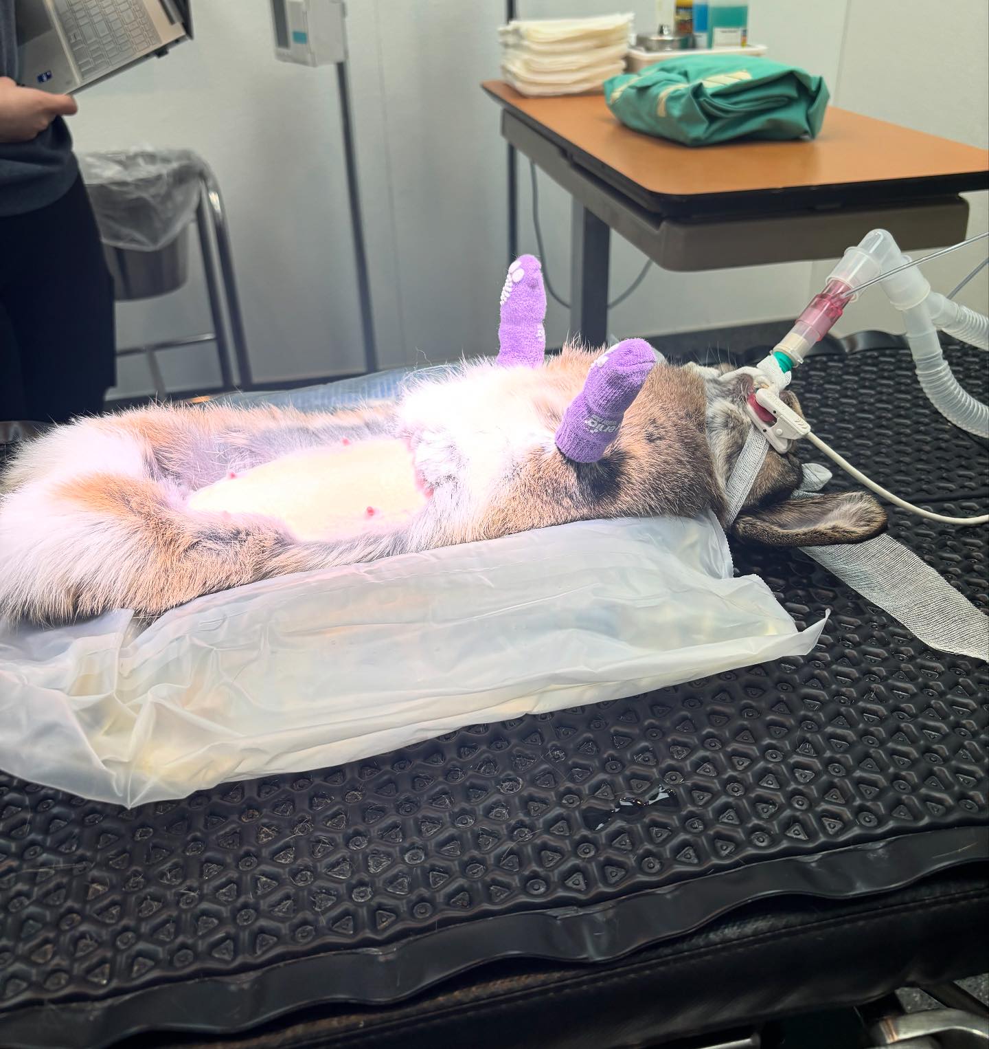All - This is a patients of Dr. Victoria’s who is all ready for her ...