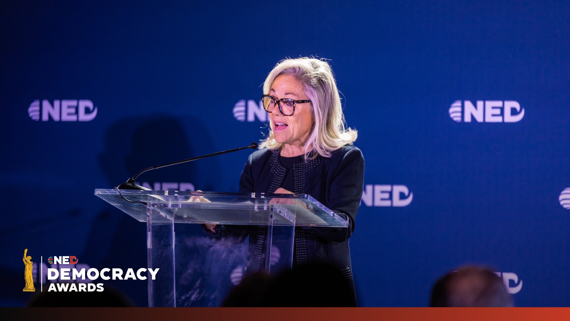 National Endowment for Democracy | Washington D.C. DC