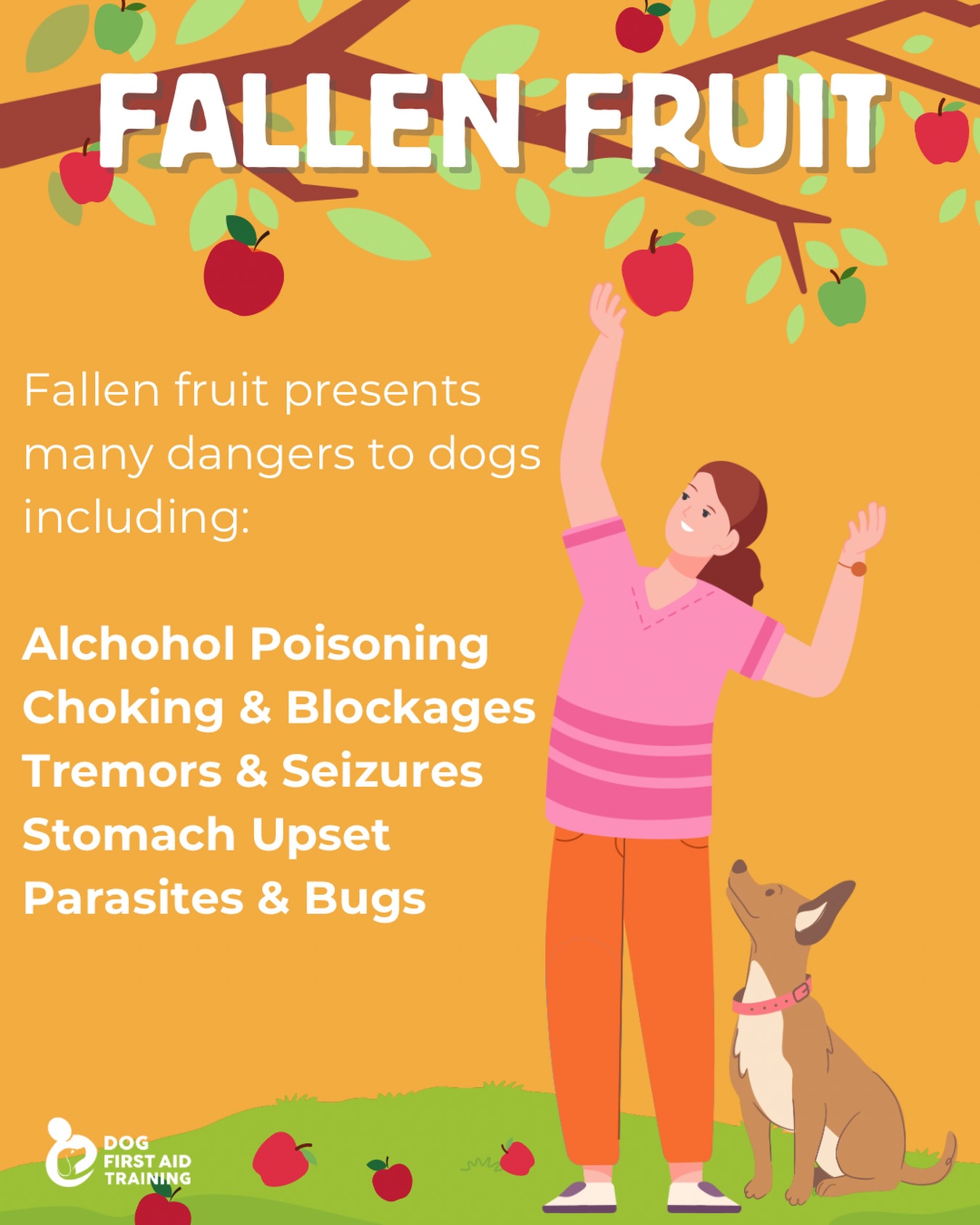 Image showcasing 🍎HAZARDS OF FALLEN FRUIT🍎... - Dog First Aid Franchise Ltd | Facebook