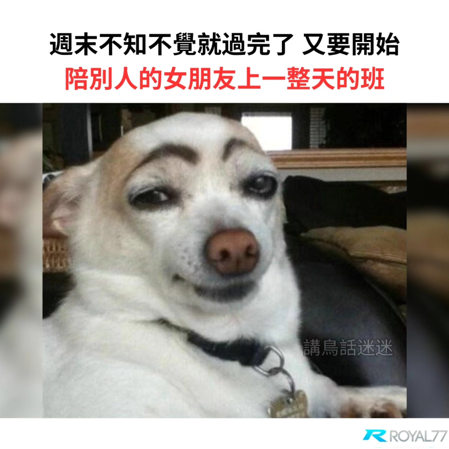 讲鸟话迷迷 - 不用花約會的錢就可以每天陪她聊天😘 . IG: birdtalkmeme . . #梗 #梗圖 #梗图 #梗圖系列 #梗图系列 ...