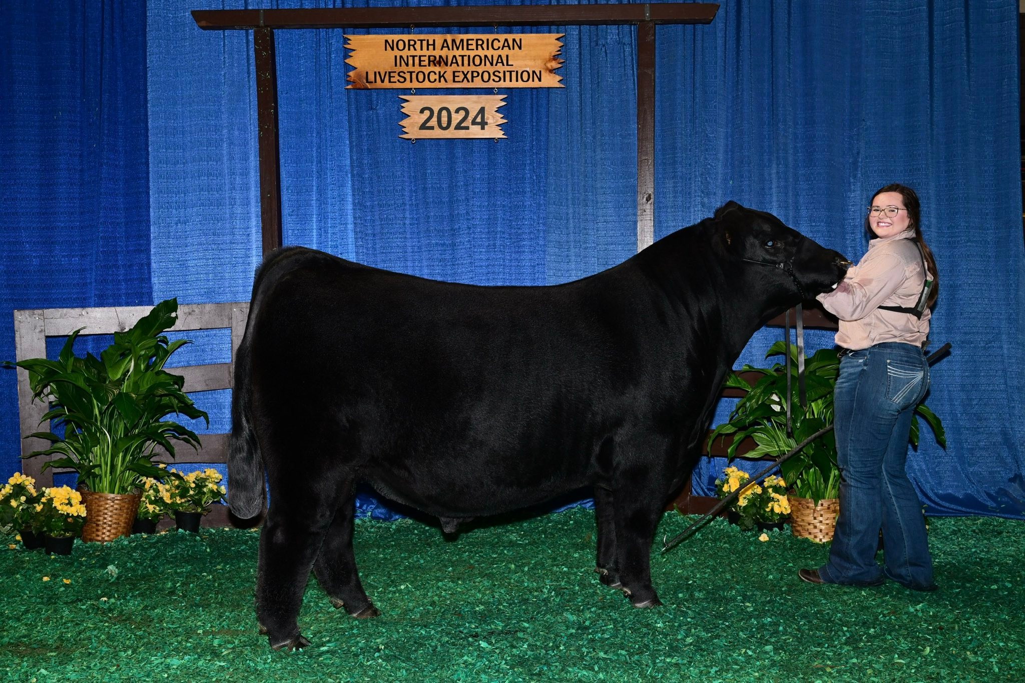 Goodrick-Zenor Angus | Attica IN