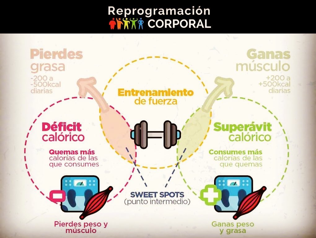 Reprogramacion Corporal | León