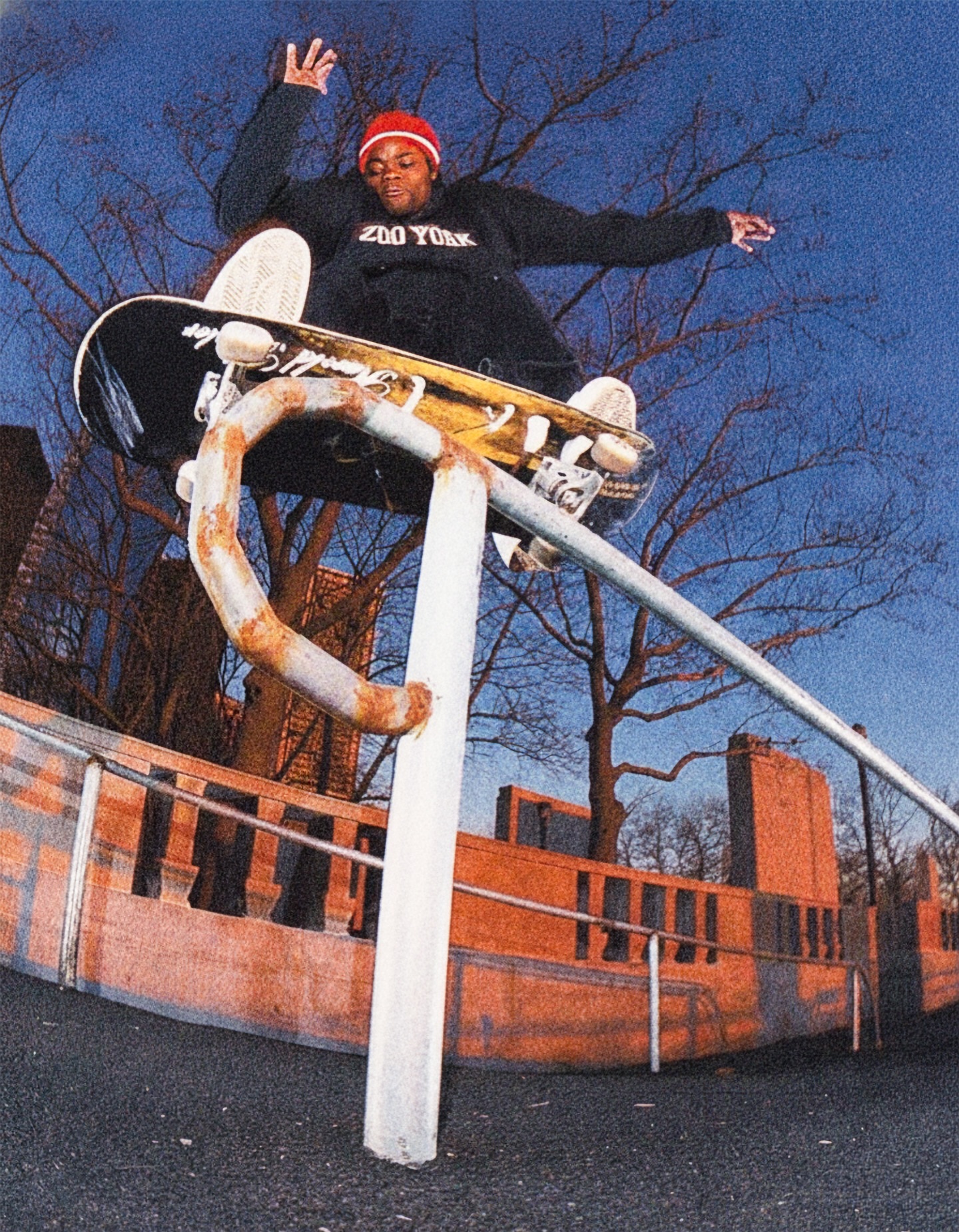 THE ZOO - Harold Hunter: 50-50 up the rail. Battery Park City, NYC 
