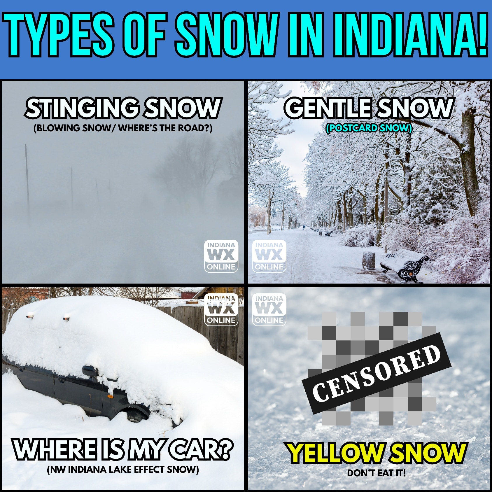 Indiana - We have many types of snow in Indiana! How many have you ...