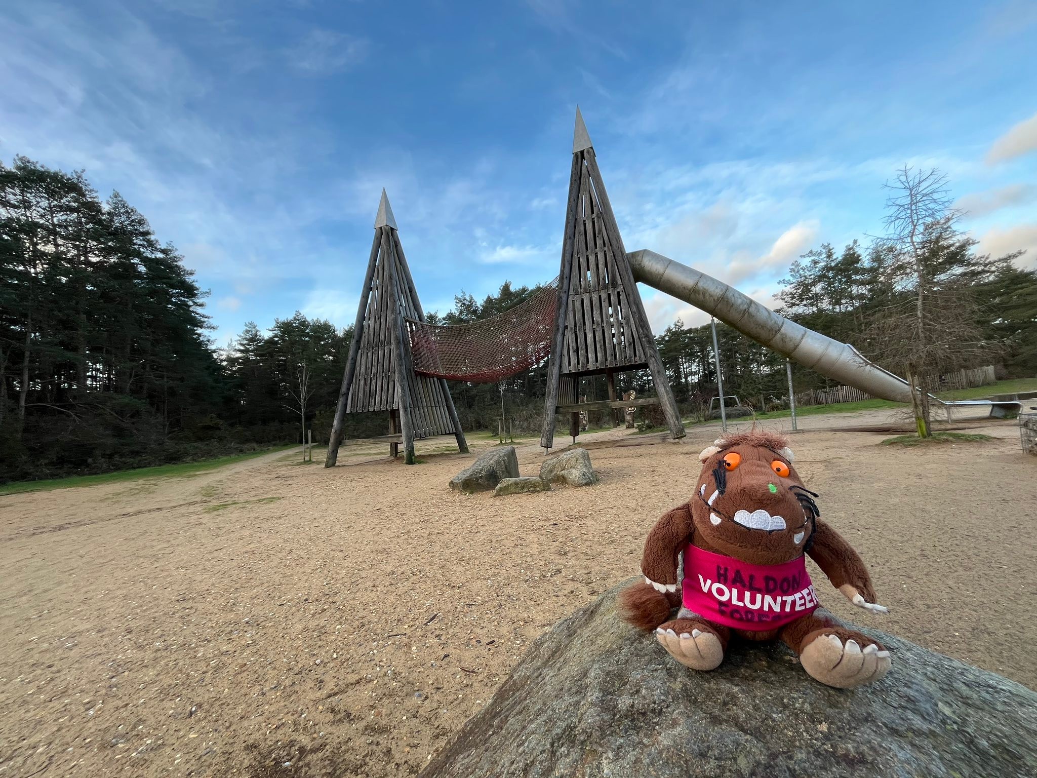 Hogmoor Inclosure parkrun | Bordon