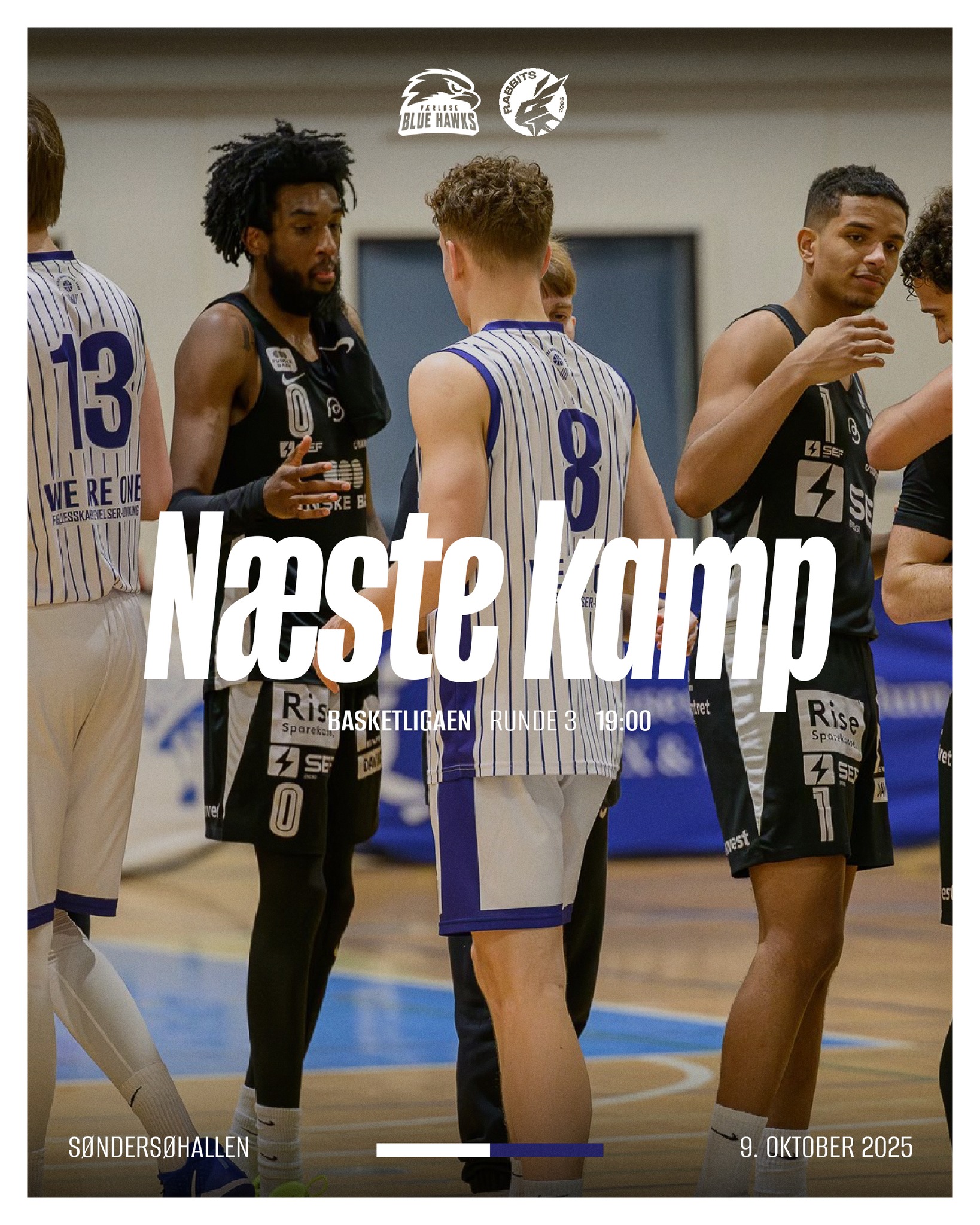 Værløse - Når kaninerne fra Svendborg gæster Søndersøhallen torsdag ...