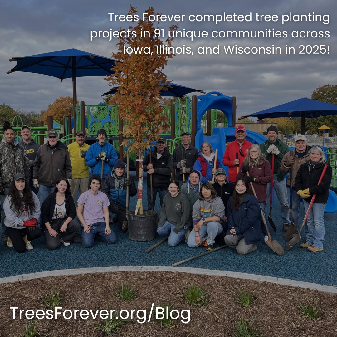 Trees Forever | Marion IA