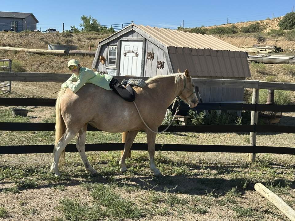 Spirit Dancer Ranch | Fort Collins CO