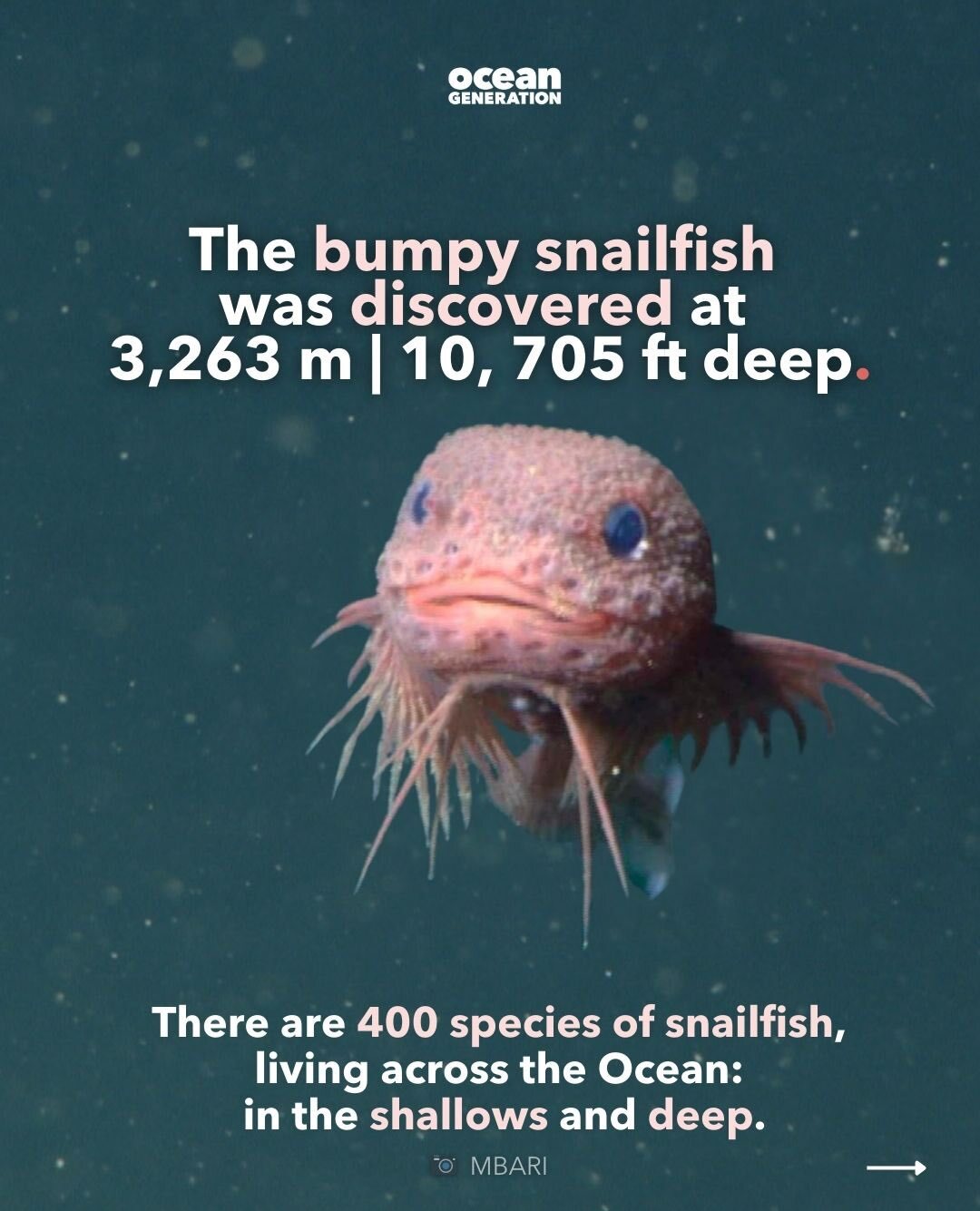 World Ocean Day - FIRST-ROUND CLOSED! Make sure your favorite ocean ...