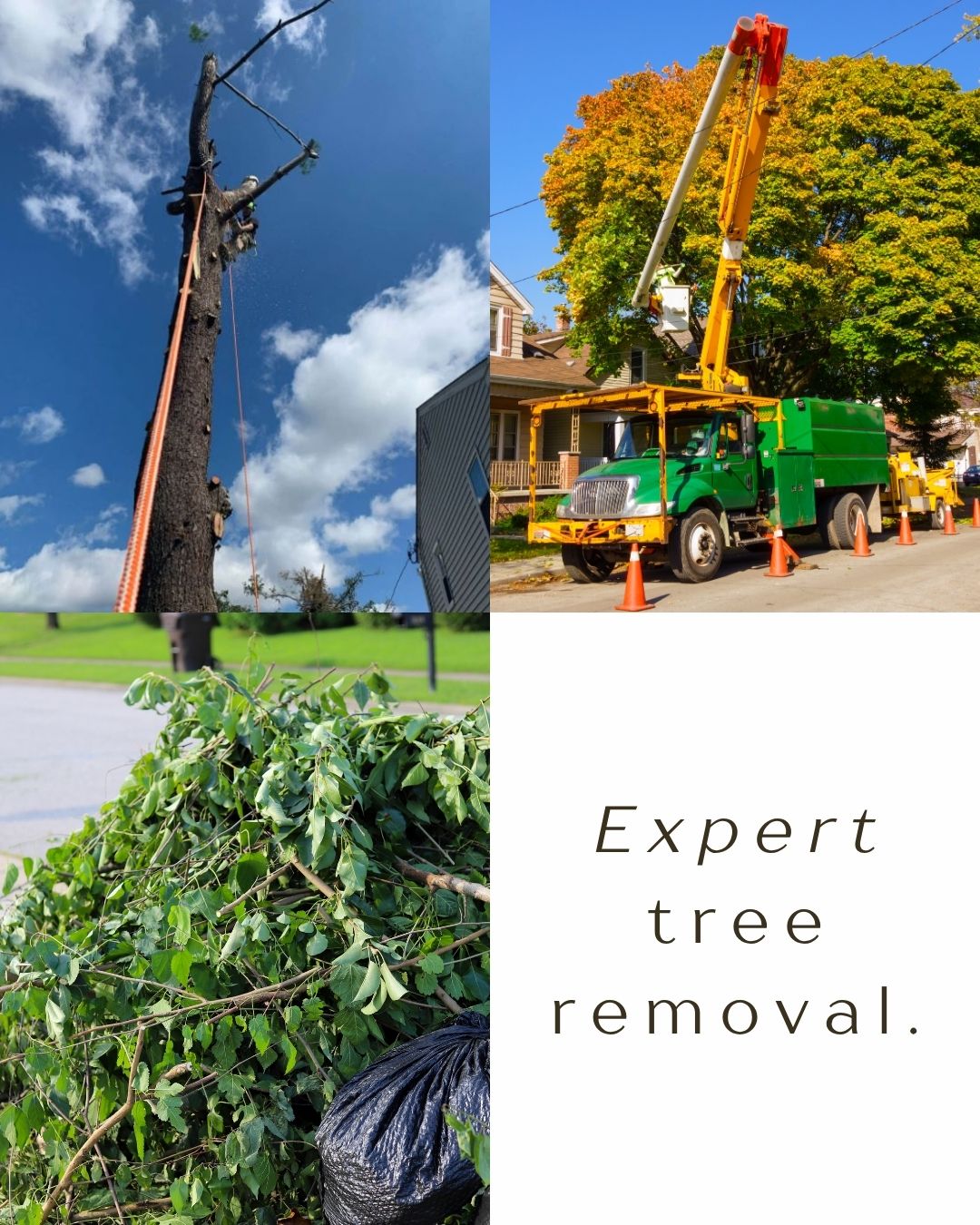 Pennsylvania Arborist Tree Care | Philadelphia PA