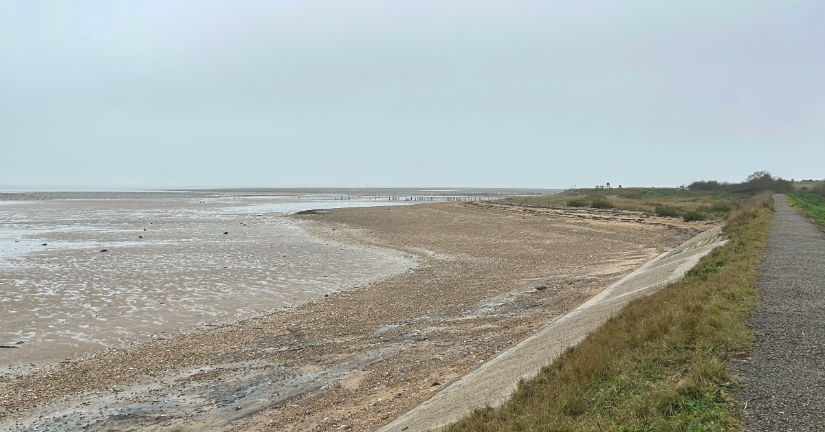 Cudmore Grove Country Park | Colchester