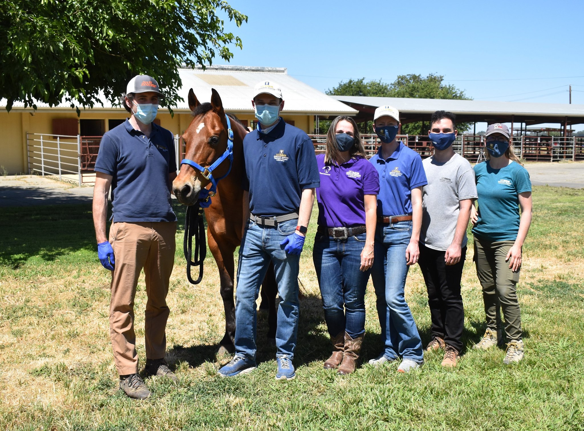 UC Davis Veterinary Genetics Laboratory - Dr. Donnelly and members of ...