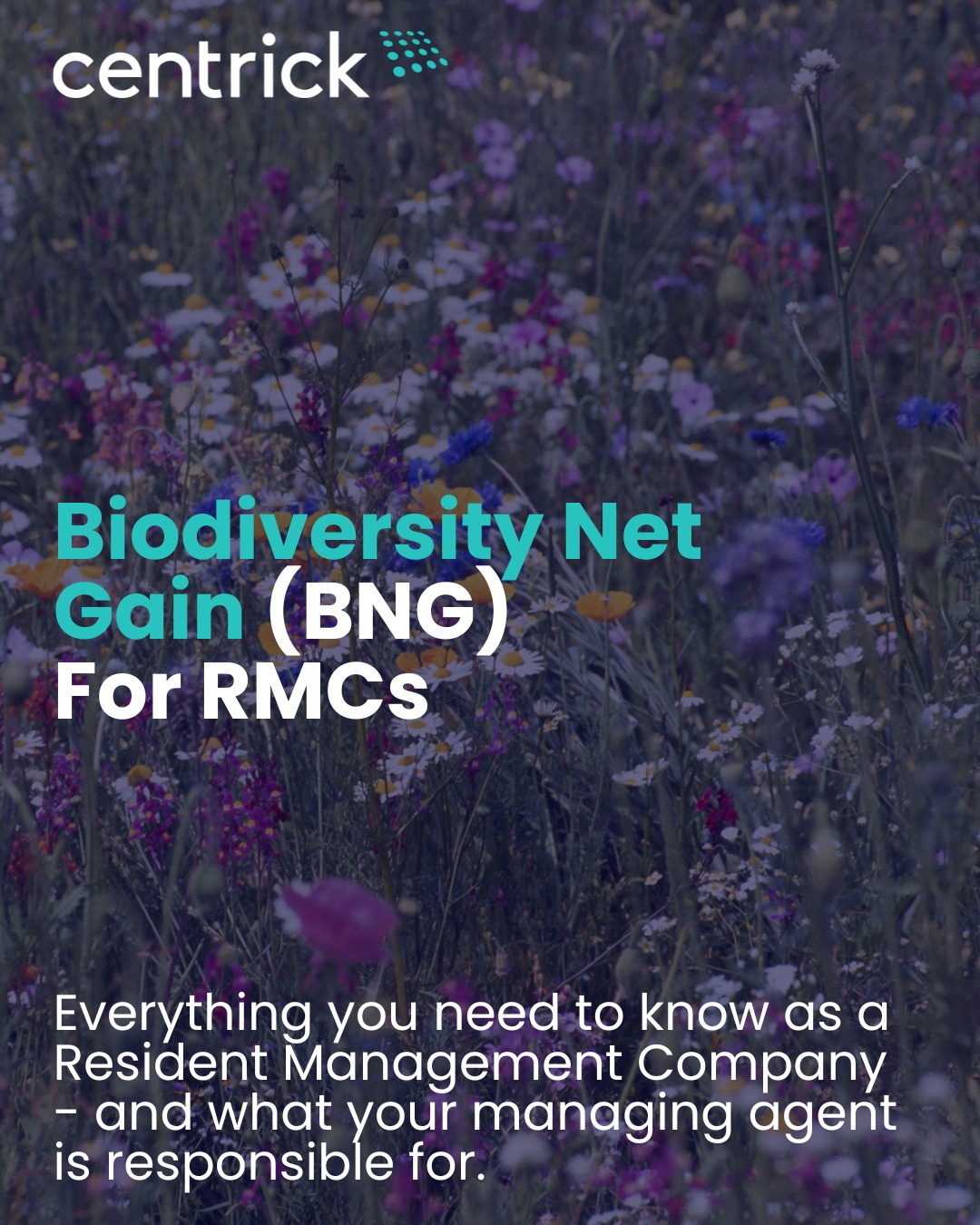 Centrick - 🌿 Are you up to speed with BNG regulations? Check out our ...