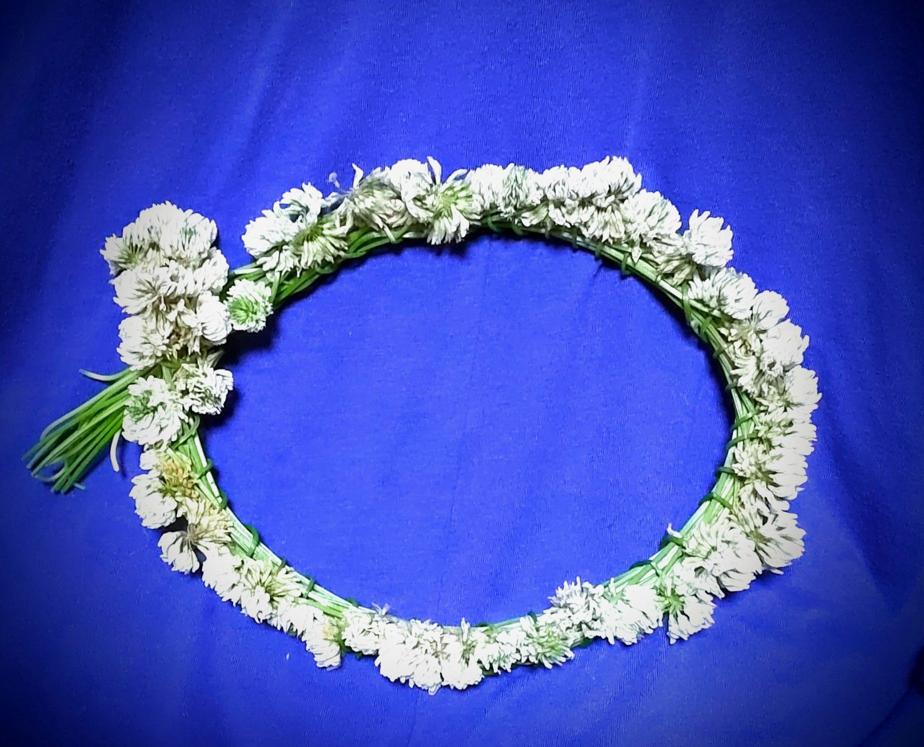 童心にかえって、何十年かぶりにお花の首飾り作って見ました? 何十年 