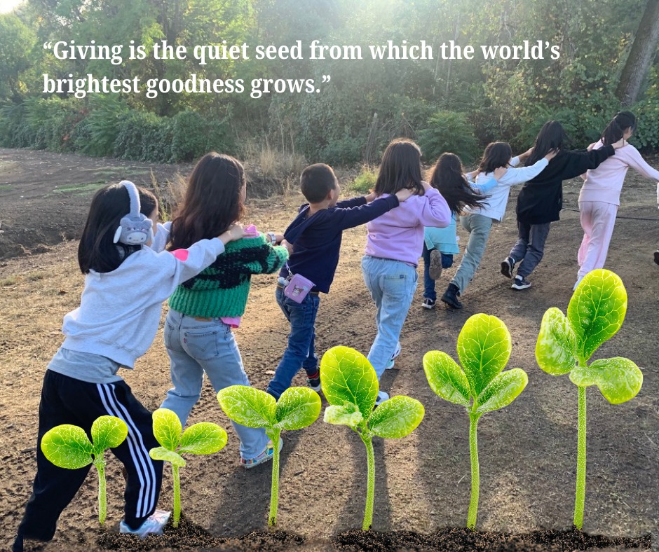 Instilling - We’re planting the seeds now. This Giving Tuesday, help us ...