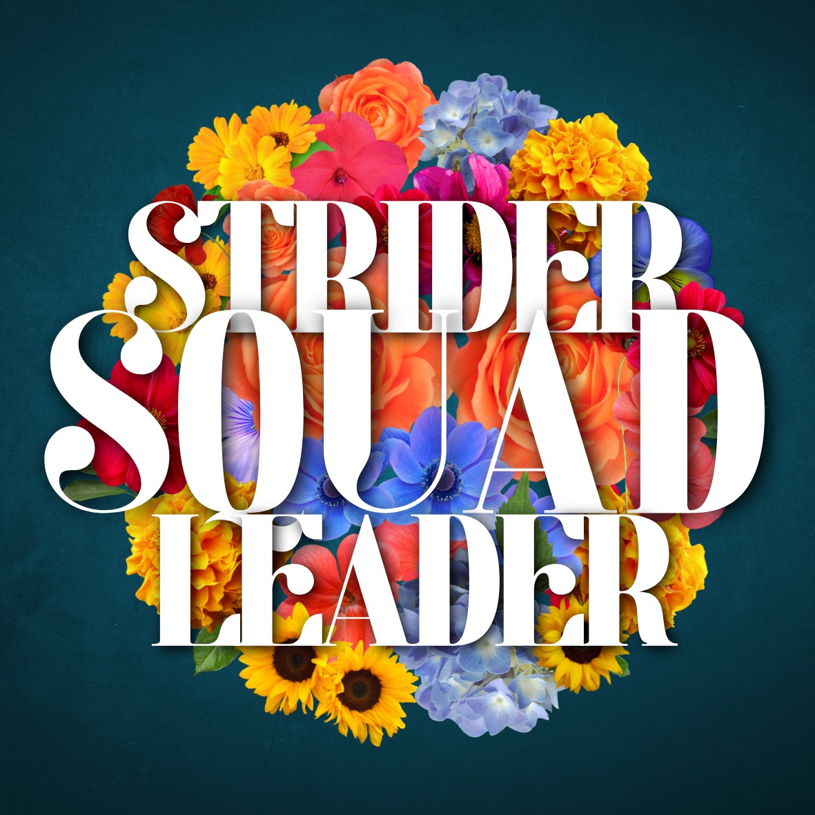 Louisiana - 📣 Strider Squad Leader Meeting! 🦩💜 Are you ready to lead ...