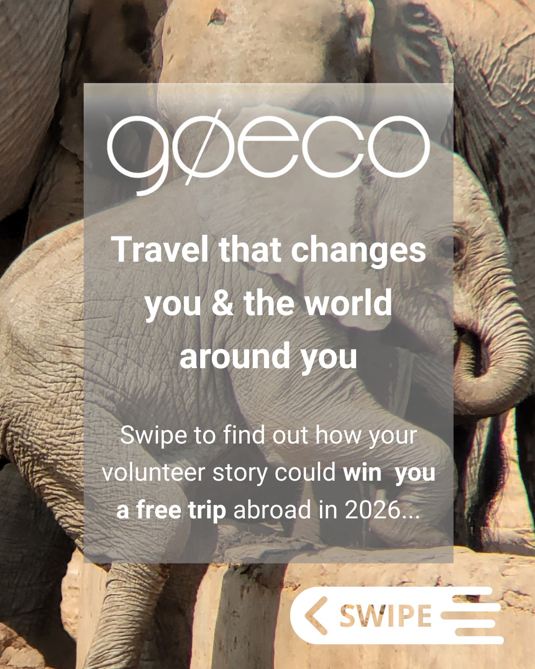 GoEco - Happy New Year! We celebrated the end of 2025 by... | Facebook