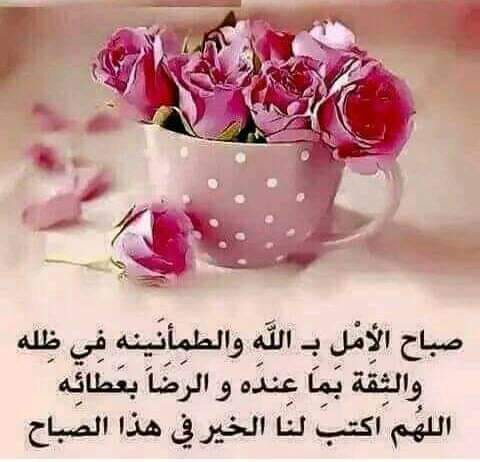 كل يوم سؤال وجواب ومعلومة مفيدة Posts Facebook