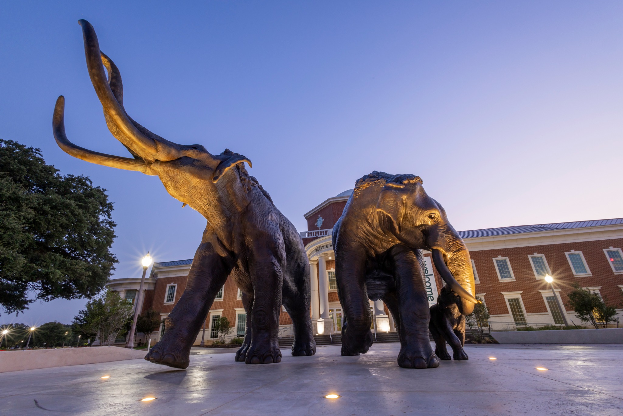 Mayborn Museum Complex | Waco TX