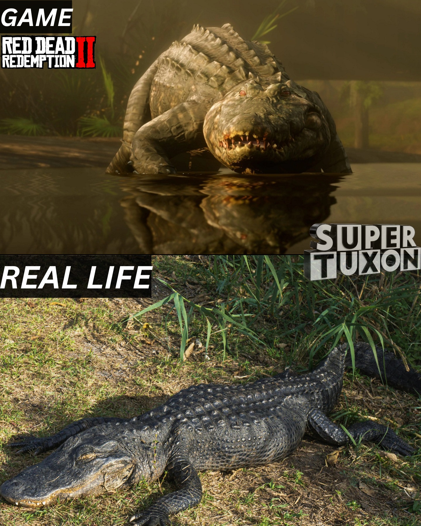SuperTuxon - Red Dead Redemption 2 Graphics vs Real Life Comparison 🔥 # ...