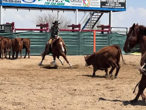 Colorado High School Rodeo