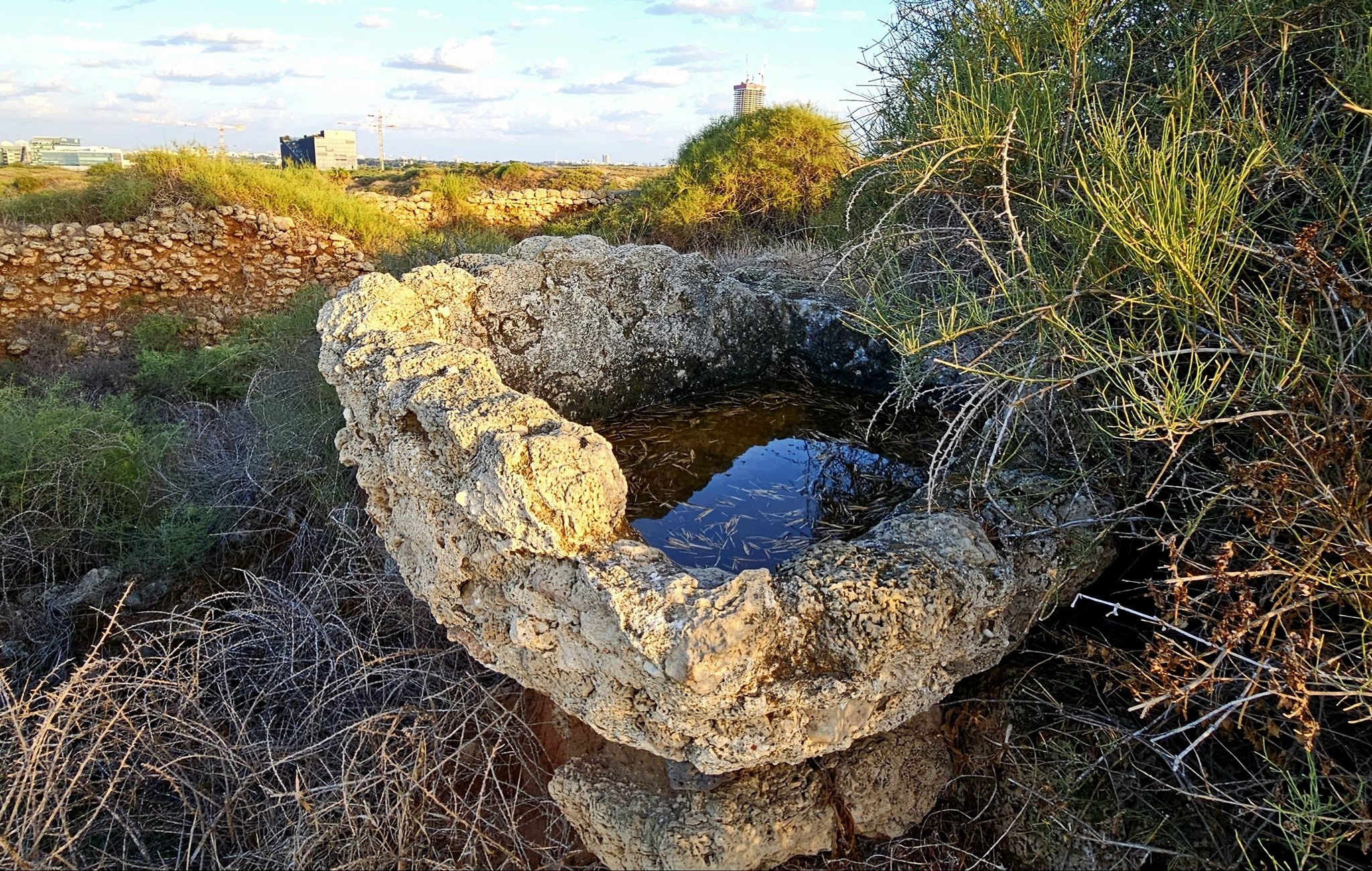 תל מיכל - ‎תל מיכל‎ updated their cover photo.