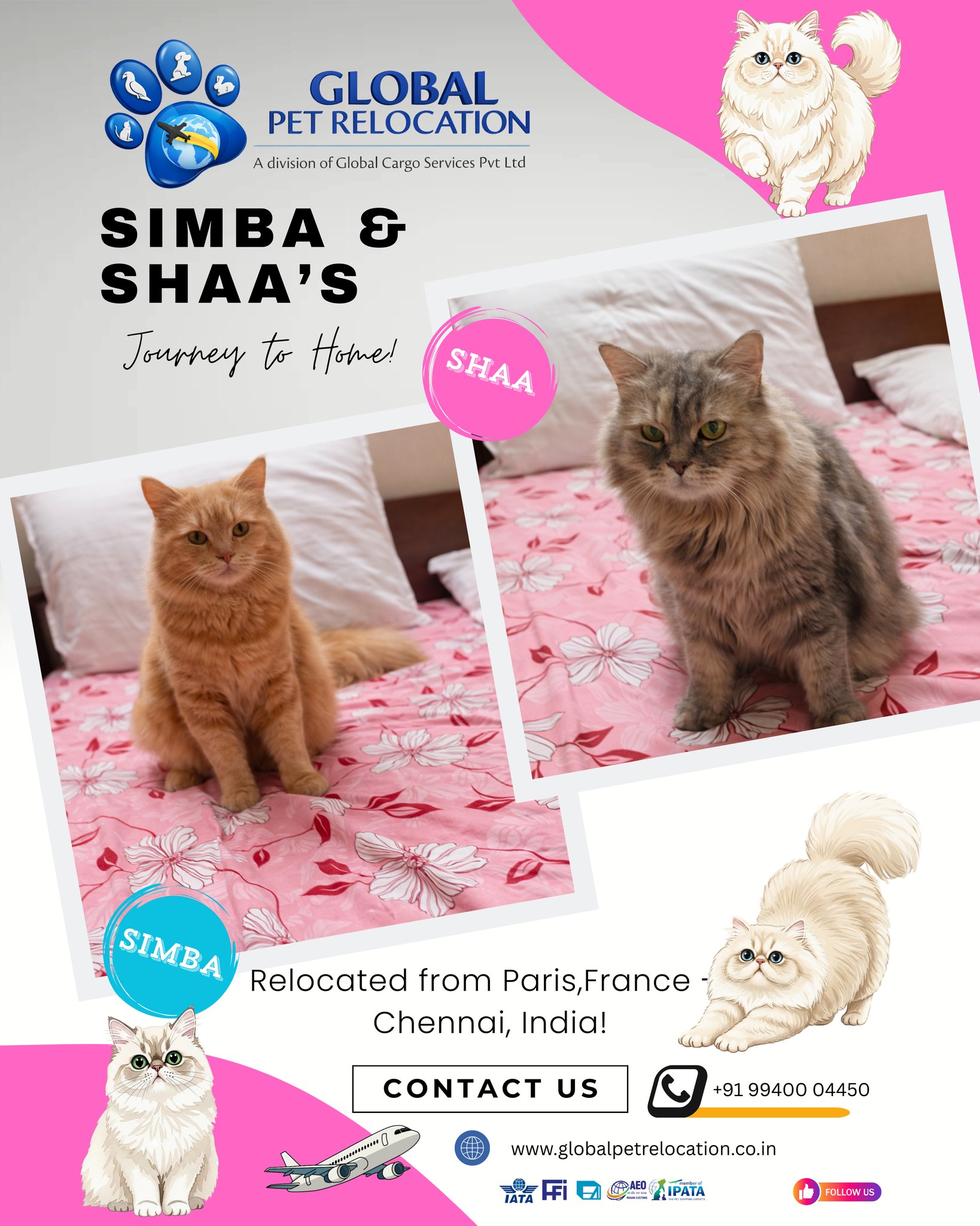 Global Pet Relocation added a new... - Global Pet Relocation